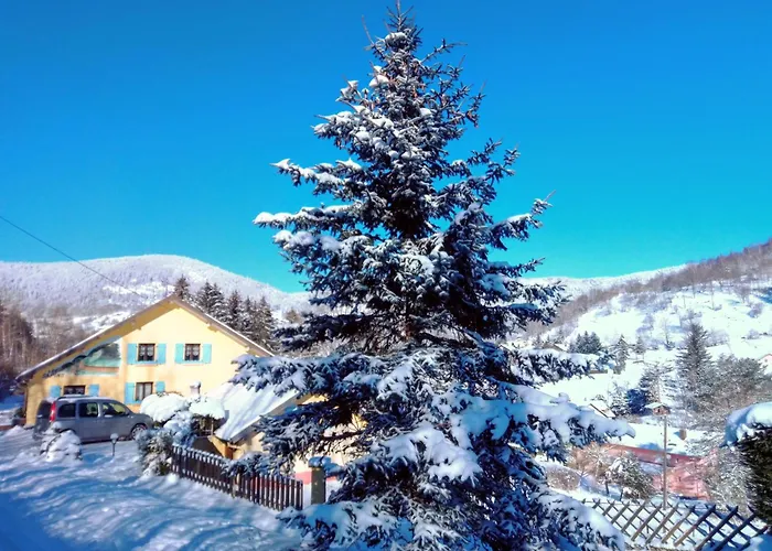 Les Sapins