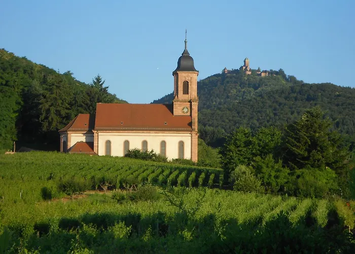 Au Coeur Du Vignoble
